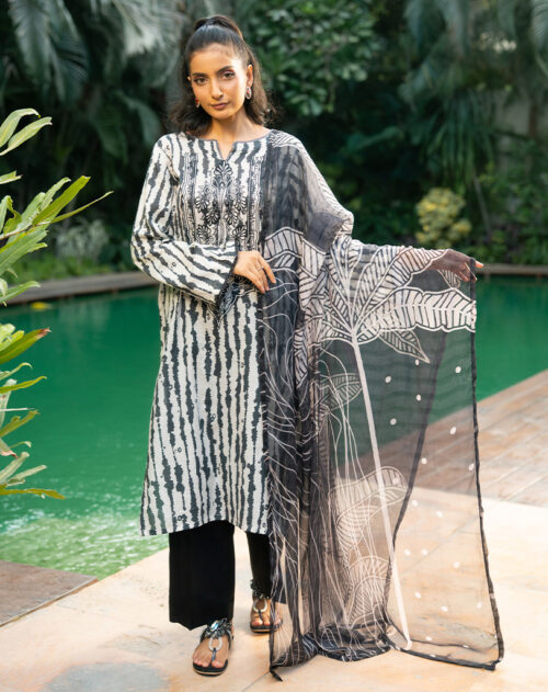 Printed Lawn 2 Pcs Suit